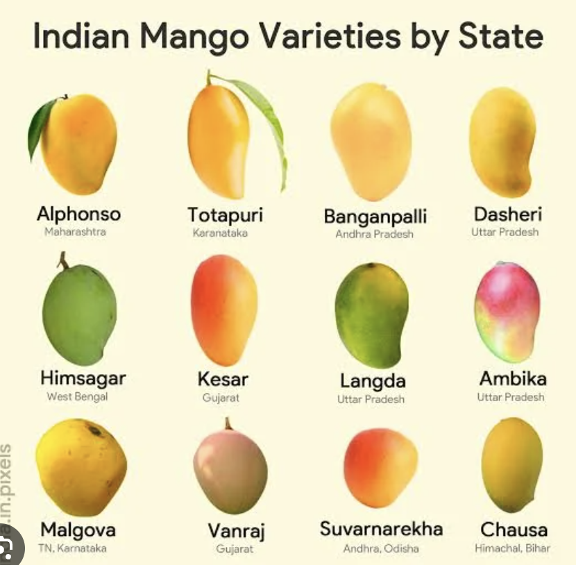 Indian Mango Varieties by State